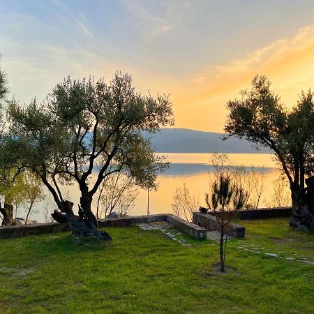 Seafront Traditional Stone House In Sunset Olive Grove - B Alyfanta Bagian luar foto