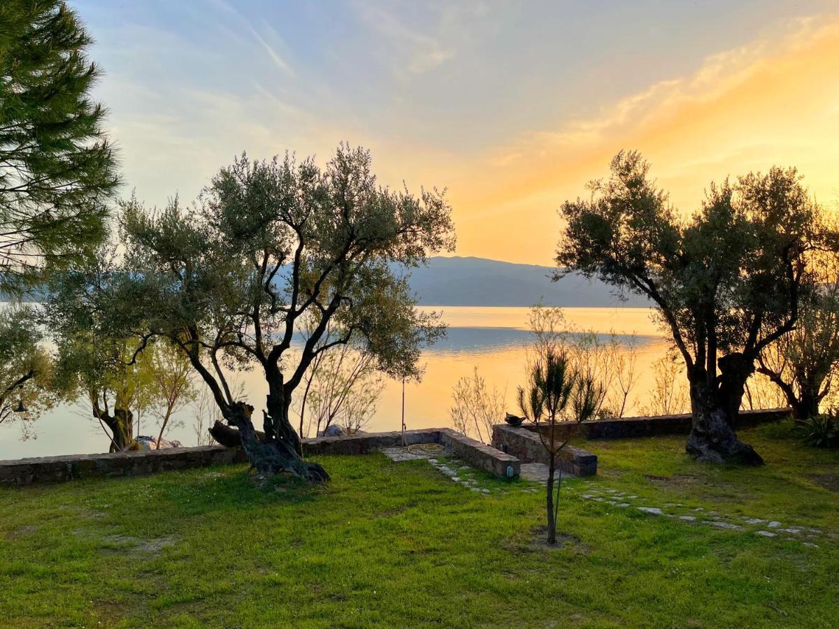 Seafront Traditional Stone House In Sunset Olive Grove - B Alyfanta Bagian luar foto