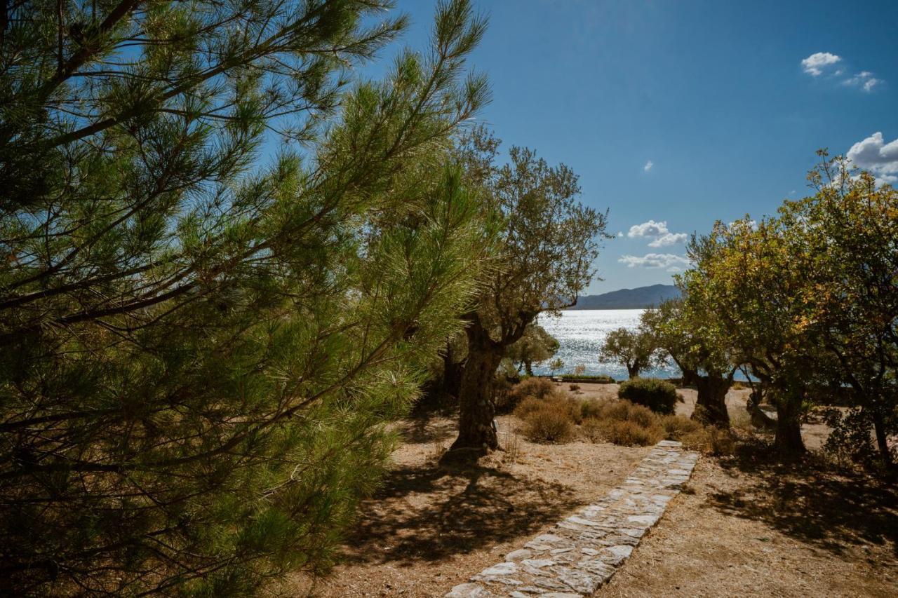 Seafront Traditional Stone House In Sunset Olive Grove - B Alyfanta Bagian luar foto
