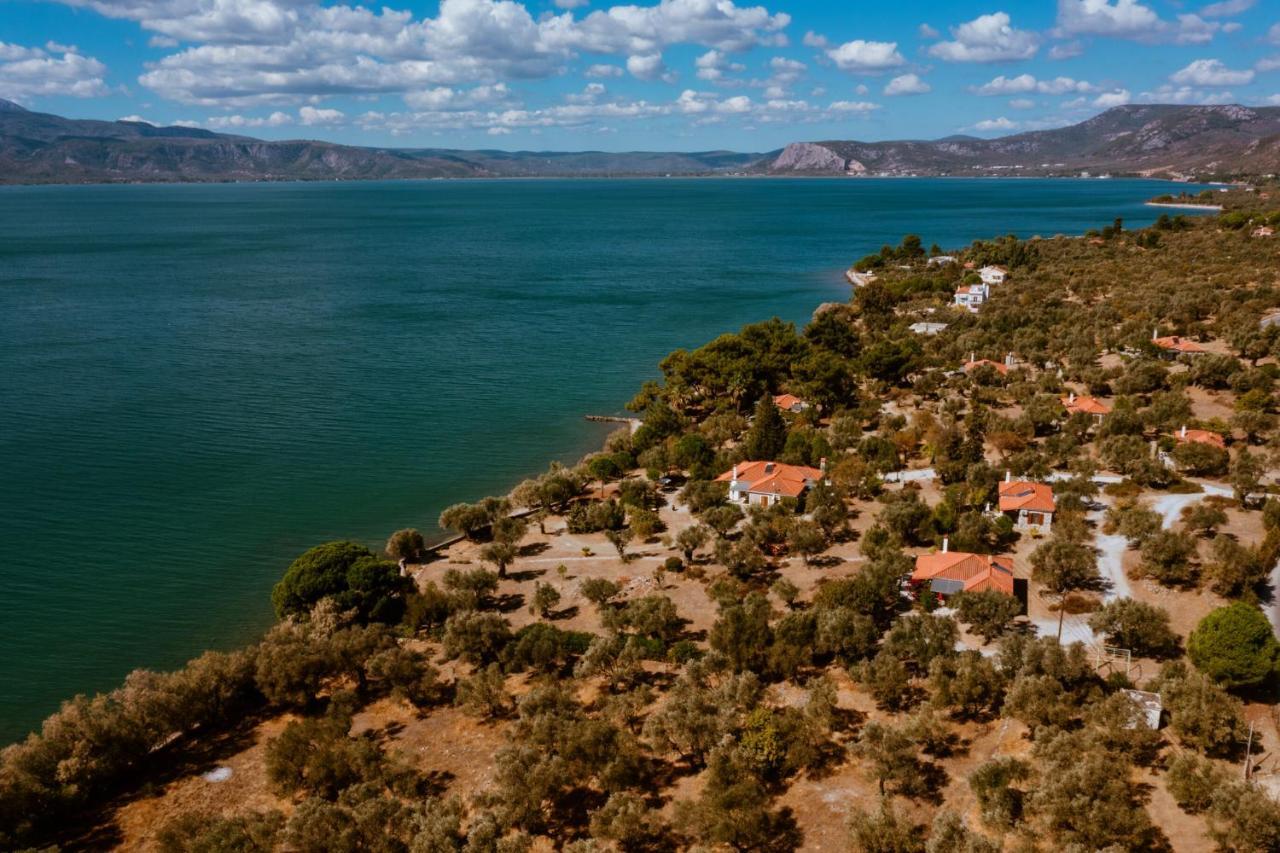 Seafront Traditional Stone House In Sunset Olive Grove - B Alyfanta Bagian luar foto