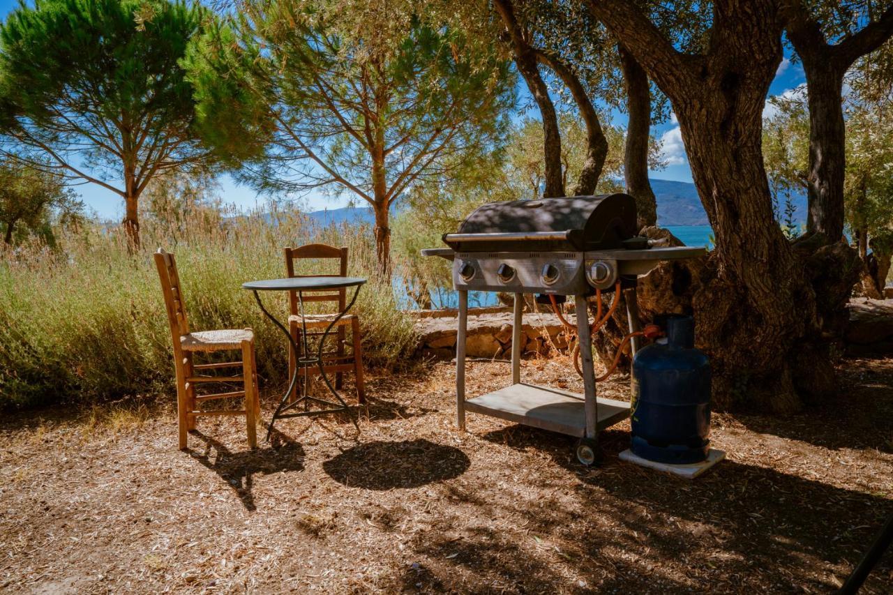 Seafront Traditional Stone House In Sunset Olive Grove - B Alyfanta Bagian luar foto